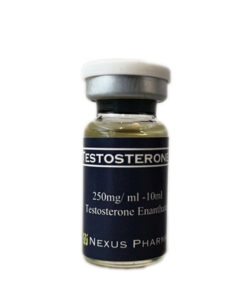 Testosterone Enanthate – 10 ml (250mg/ml)